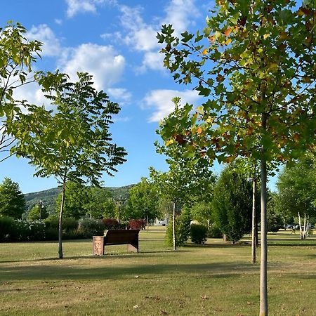 Vila Cu Mesteceni Câmpina Buitenkant foto