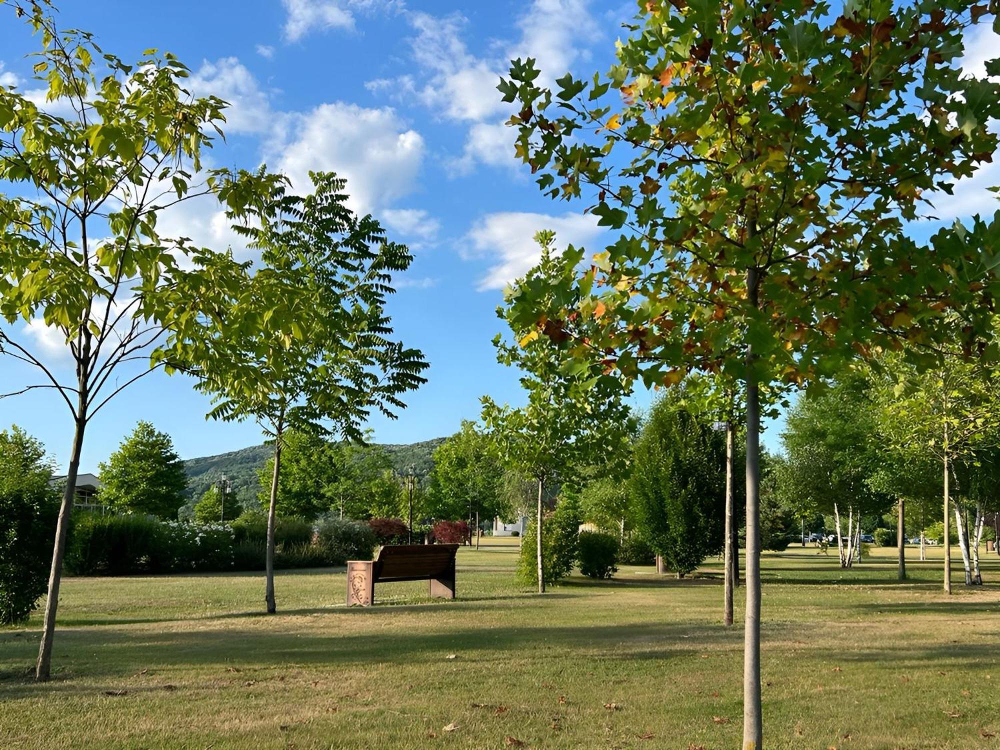 Vila Cu Mesteceni Câmpina Buitenkant foto